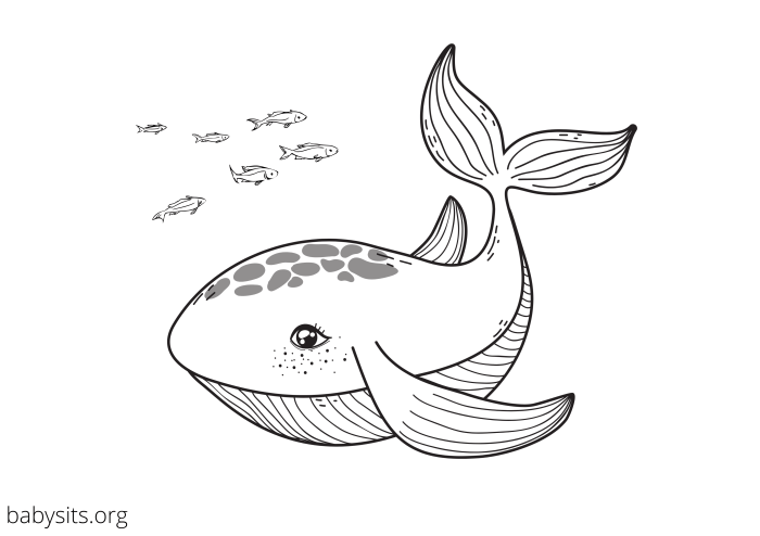 Free printable sea animal coloring pages