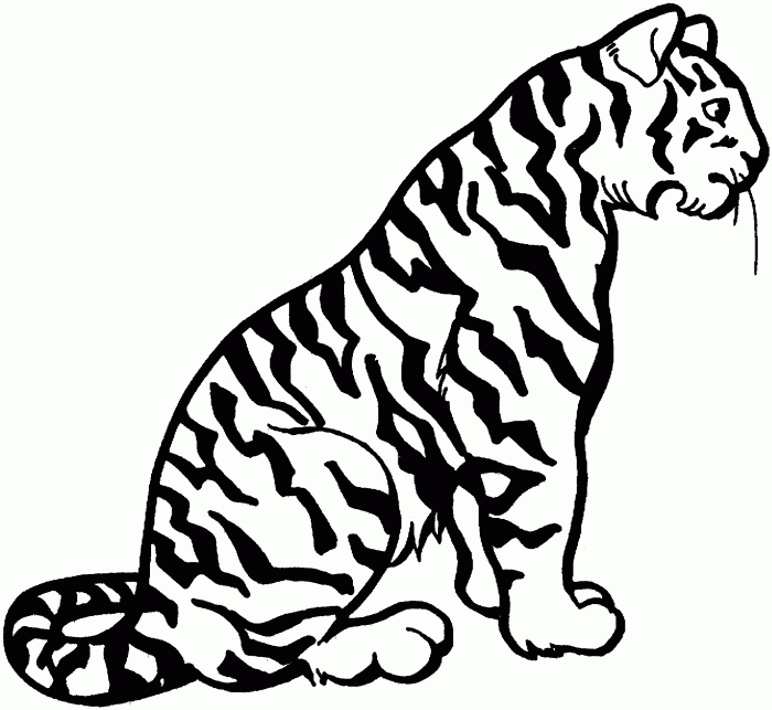 Tiger Animal Coloring Pages Unleash Creativity