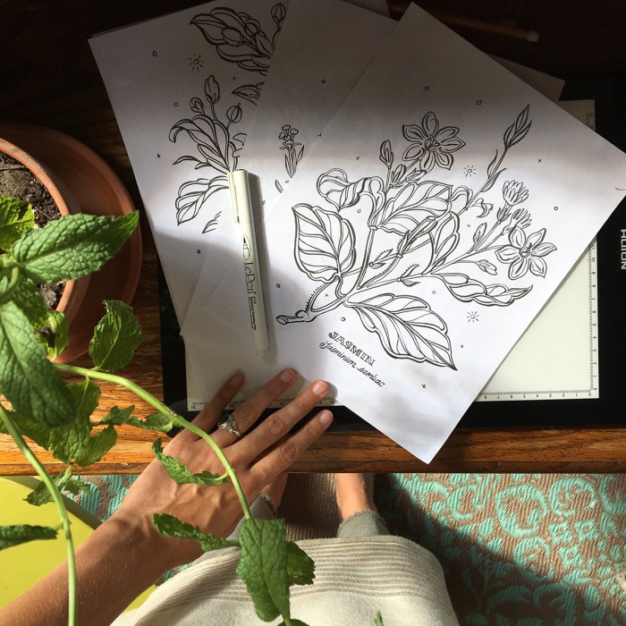 Botanical Art Coloring Book A Creative Guide