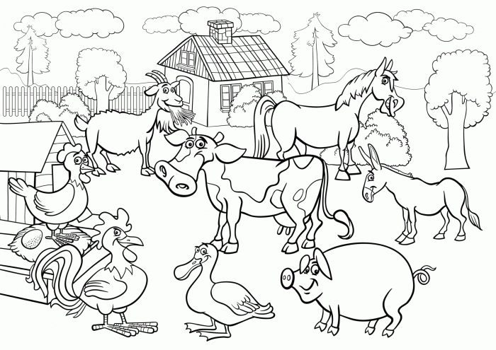 Farm animals bulk coloring book