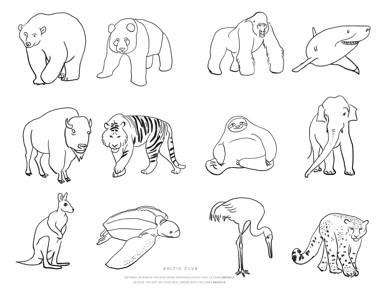 Endangered animals coloring pages printable