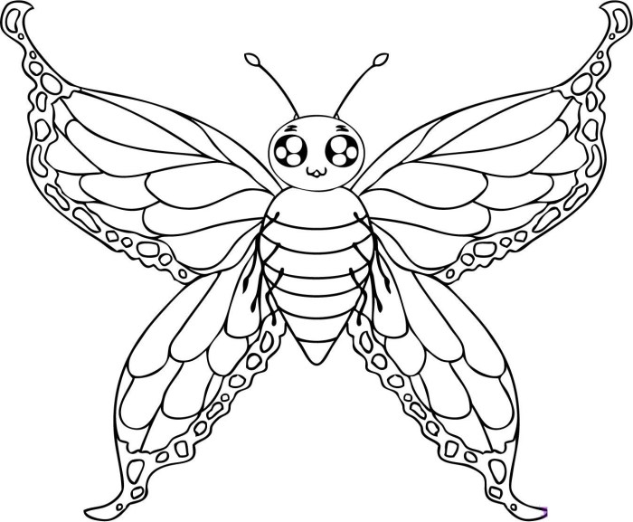 Butterfly coloring book pages to print