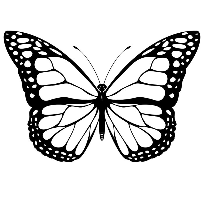 Butterfly Coloring Book Pages to Print Fun for All Ages!