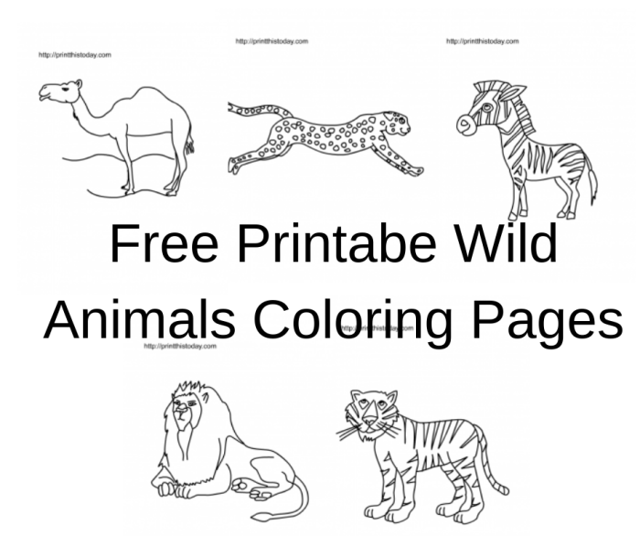 Free printable coloring pages of wild animals