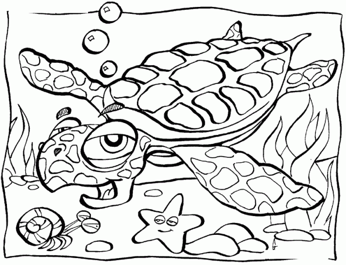 Coloring pages of the ocean animals