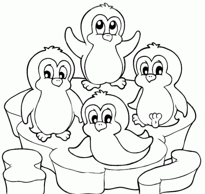 Coloring pages of animals pinguin for kids