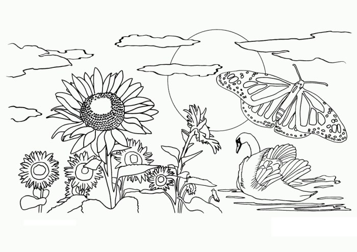 Coloring pages nature animals