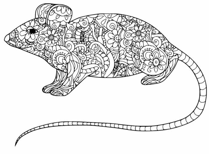 Zentangle Coloring Pages Animals A Creative Journey