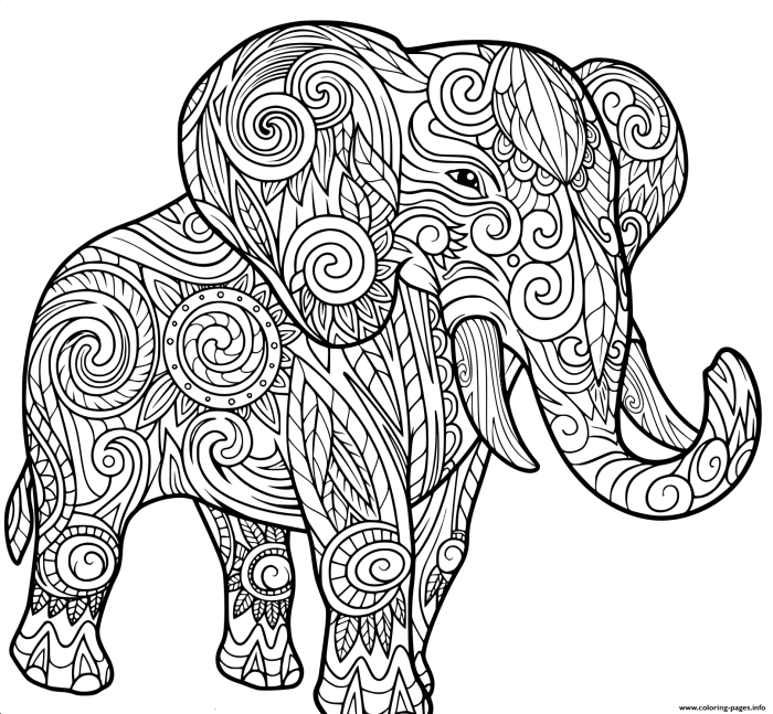 Full size animal coloring pages