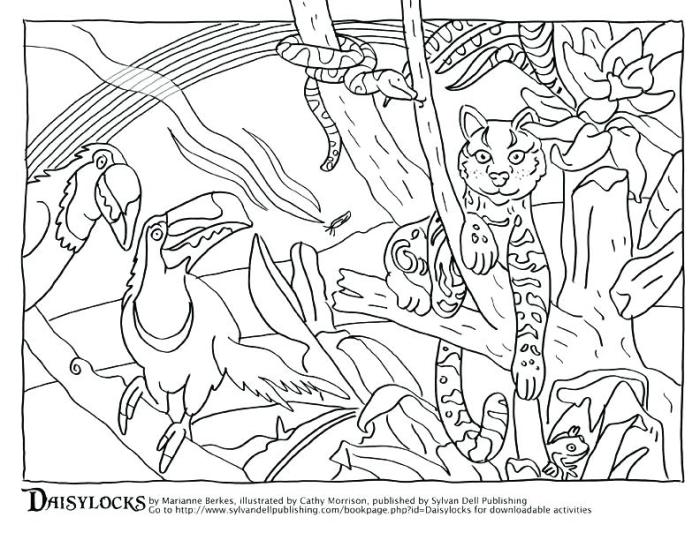 Coloring pages animals of amazon