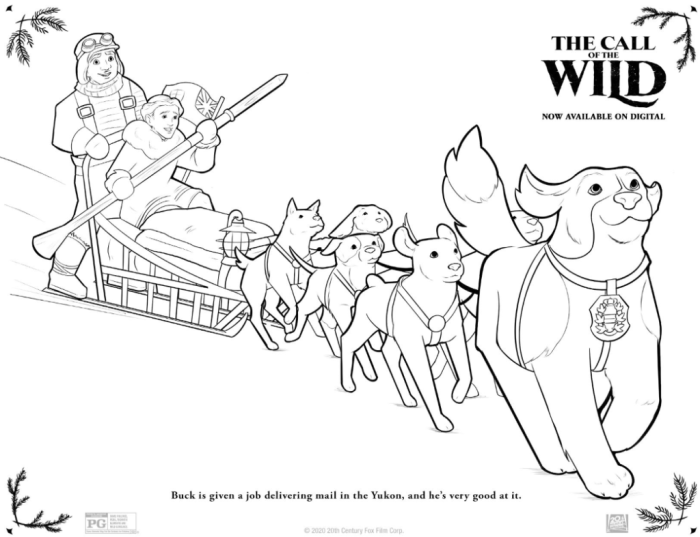 Coloriage Wild Coloring Book Unleash Your Creativity