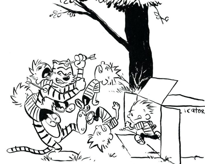 Calvin and Hobbes Coloring Book A Colorful Exploration