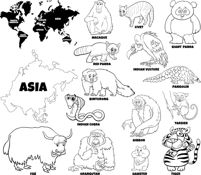 Free coloring sheets of asia's animals