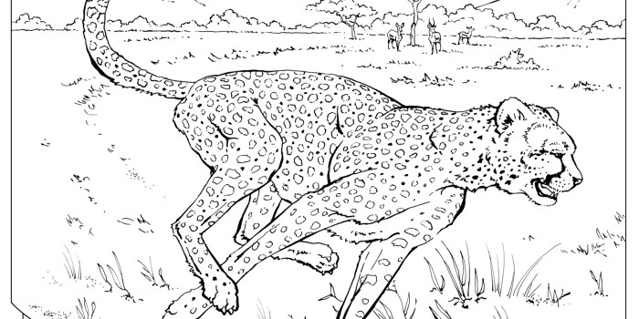 Coloring pages of realistic animals