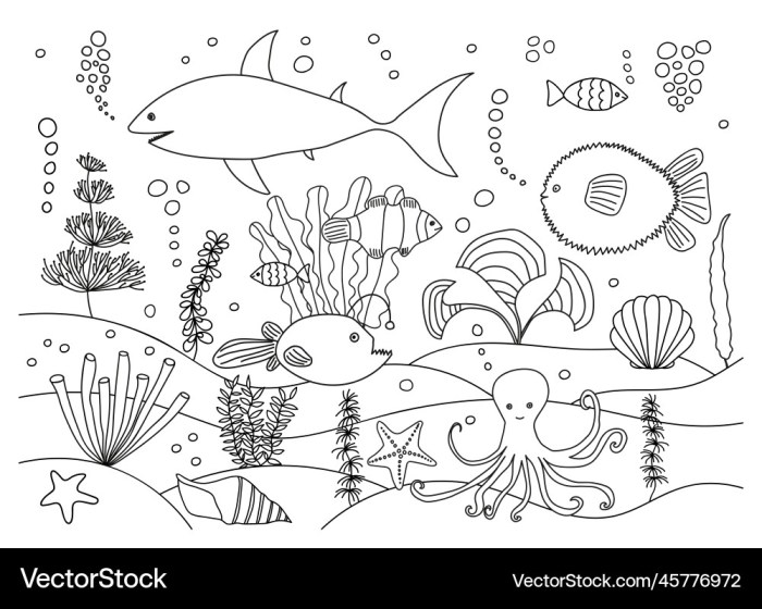 Everglades animals coloring pages