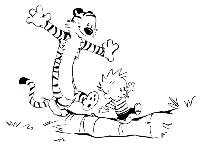 Calvin and hobbes coloring book