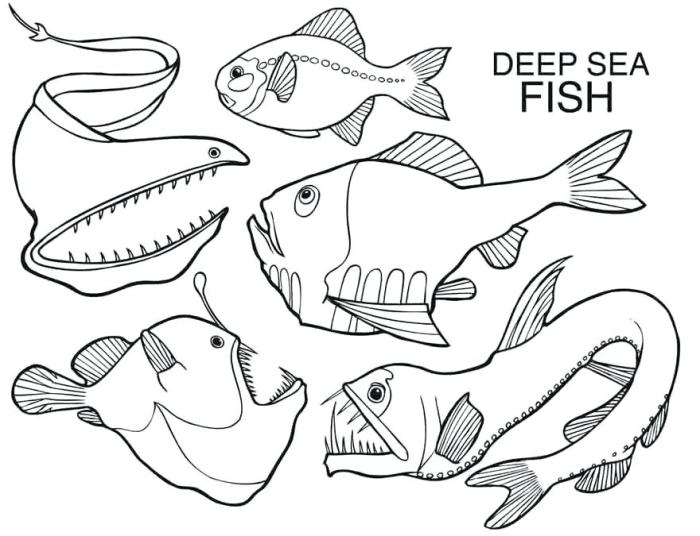 Deep sea animals coloring shet