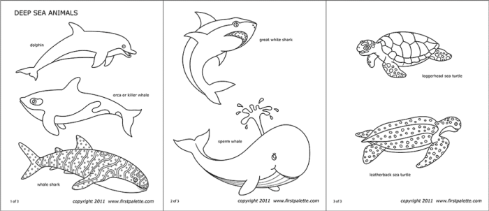 Deep sea animals coloring shet