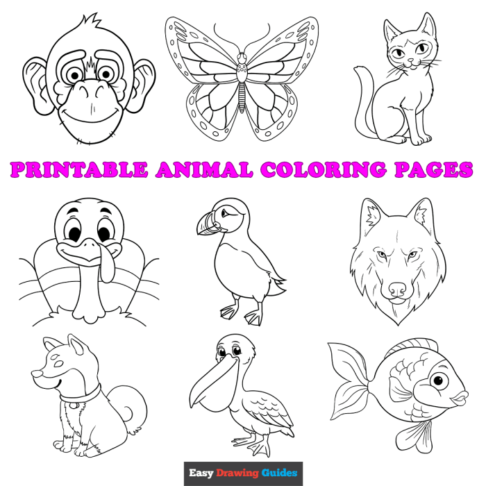 Simple animal coloring pages