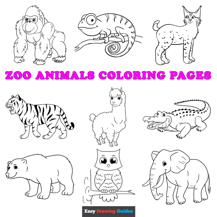 Free zoo animals coloring sheets