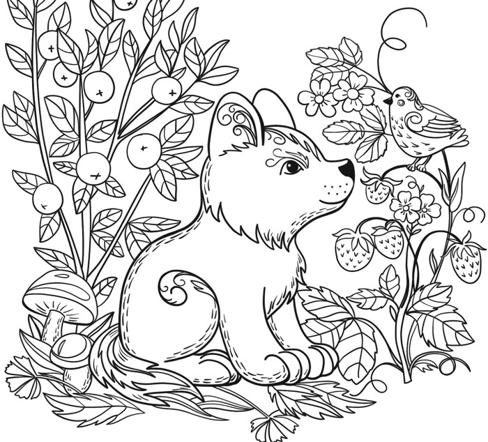 Coloring pages nature animals