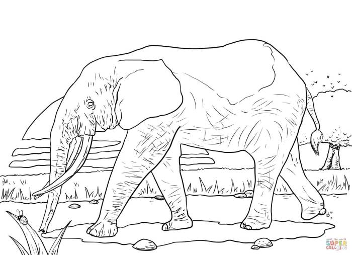 Grassland animals free coloring pages