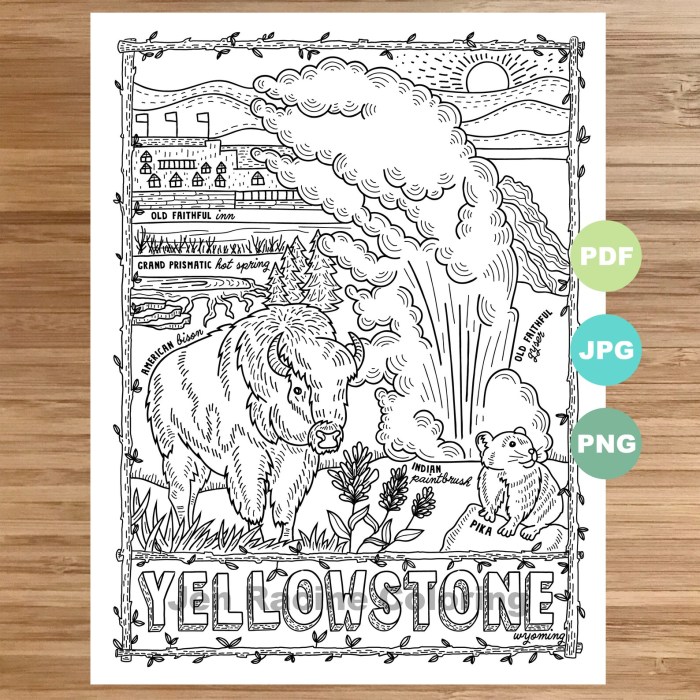 Coco wyo free coloring book