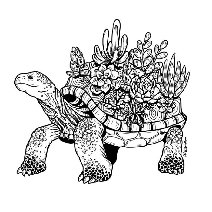 Coloring pages nature animals