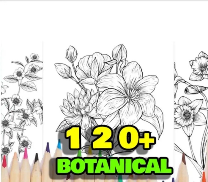 Botanical art coloring book