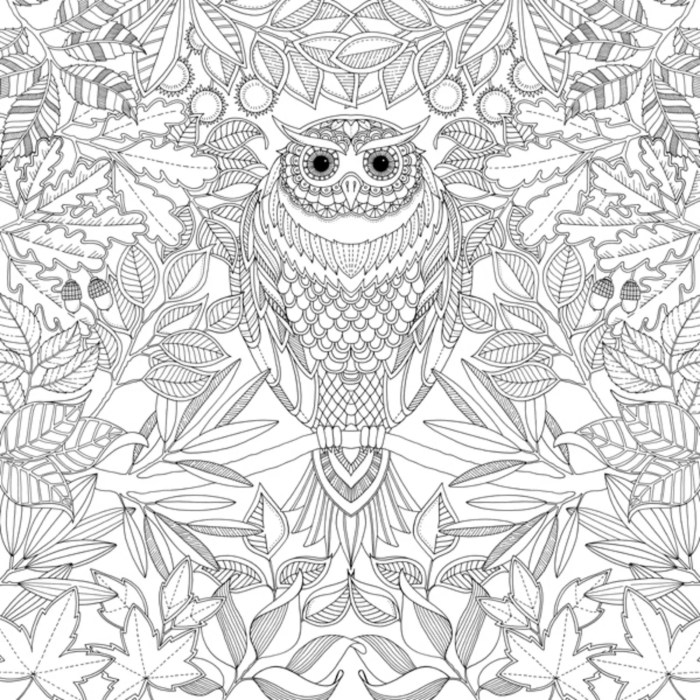 Coloring Books for Artists Unleash Your Creativity