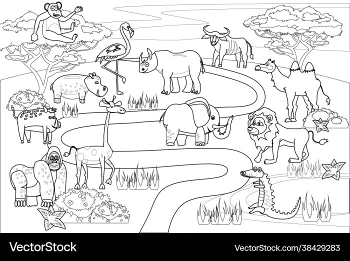 Coloring book jungle animals