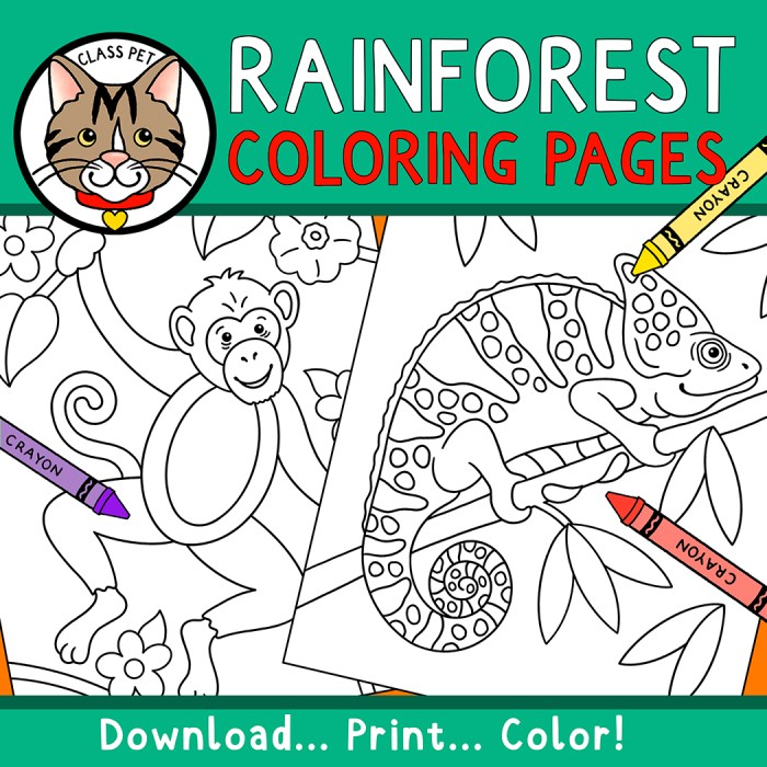 Rainforest animals coloring sheets