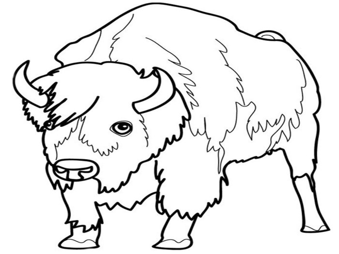 Grassland Animals Free Coloring Pages