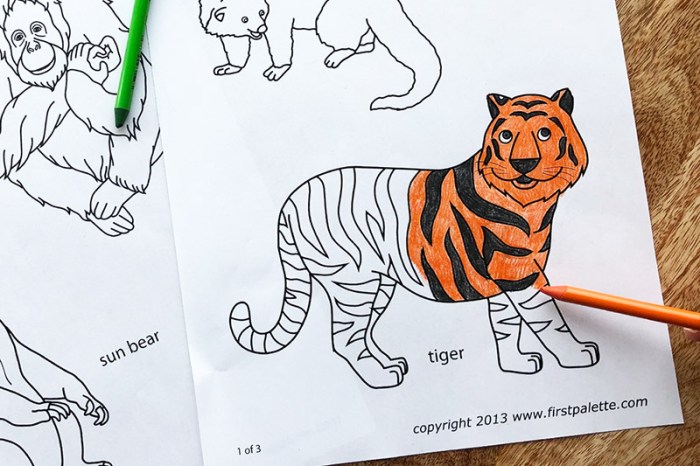 Drawing animal pages drawings coloring animals elephant wild asian kids print honkingdonkey children activity printable zoo go next