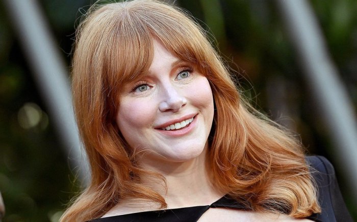 Bryce dallas howard wedding dress